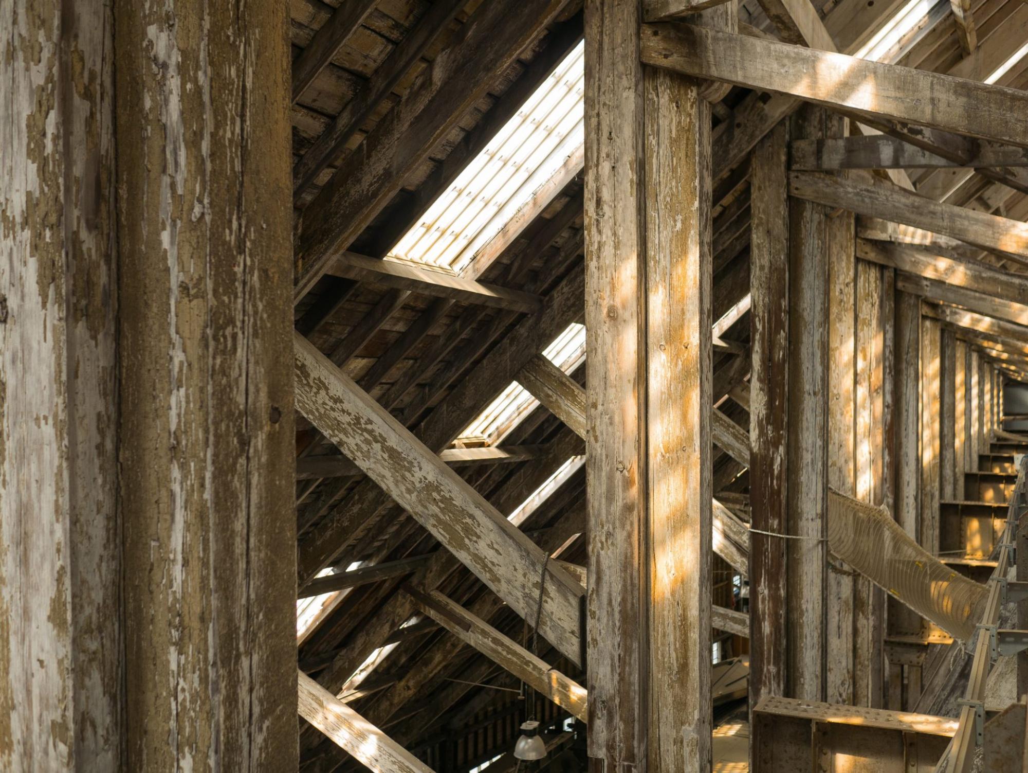 Charpentier profesionnel